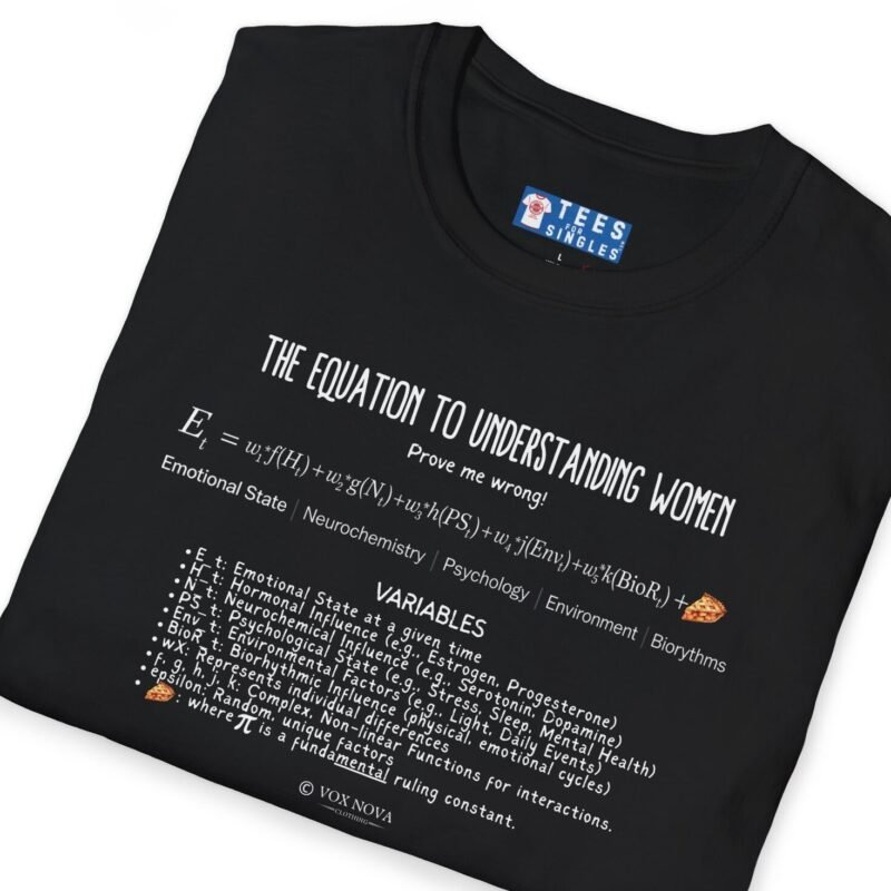 The Equation to Understanding Women (Prove Me Wrong) Look At The Fine FundaMENTAL Print! 📊❤️‍🔥Funny Tee Black by Tees For Singles